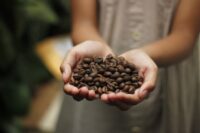 コーヒー飲料事業の石光商事株式会社のグループ会社のサーバーがランサムウェア被害を受ける